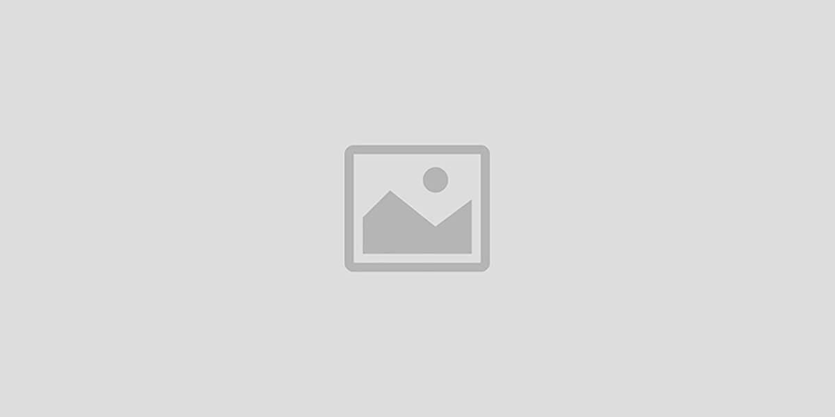 Albert's online Store